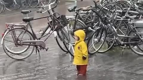 Meanwhile in Netherlands