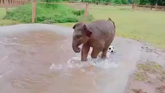 Who can play like that