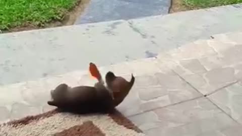 News Break: Play Time