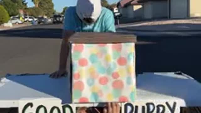 He got a PUPPY! (This LIVE video is brought to you in a prerecorded format)