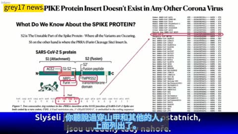 理查德,M,弗萊明博士2021 特別報告，德州，達拉斯