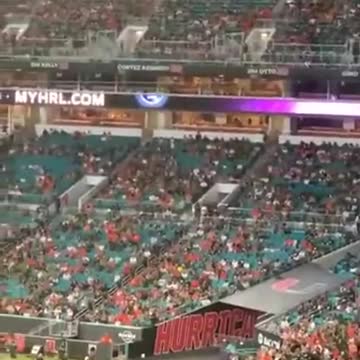 Cat Was Saved From Falling High At Hard Rock Stadium