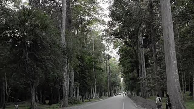 Cycling Trip on the Angkor Road