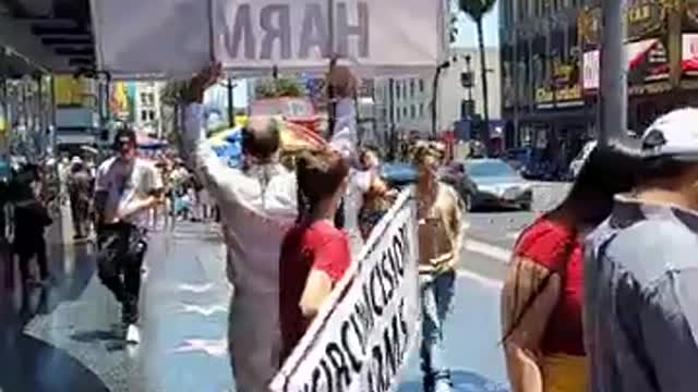 A Local Intactivist Demonstration in Hollywood Boulevard