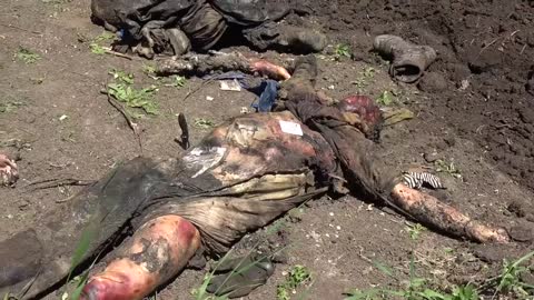 Thousands of Ukrainian soldiers are killed every day,