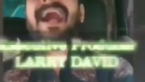 Funny animal video