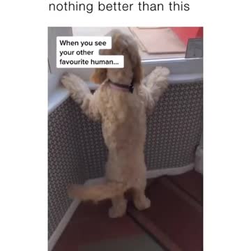 What a Contagious Joy !!!