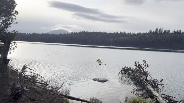 Shoreline Hiking – Suttle Lake – Central Oregon – 4K