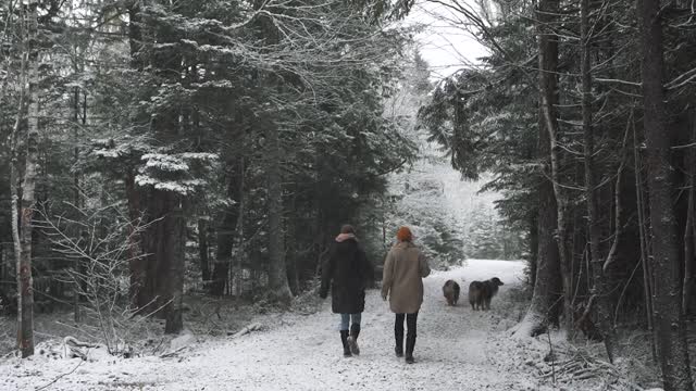 I'm Not Doing Okay. Living in the Woods