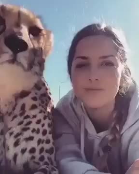 Animals always loyals to humans ( best friendship I've seen in my life )