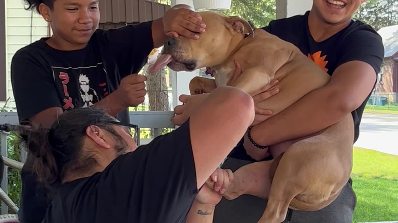 It Takes Three Guys to Trim This Anxious Pupper's Nails