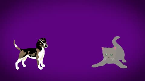 Can Cats & Dogs Be Friends? | Jackson Galaxy