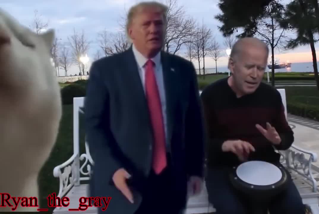 Can’t. Stop. Watching. This. 😂