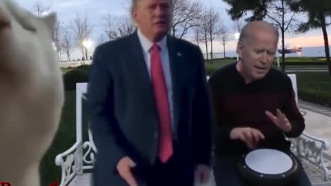 Can’t. Stop. Watching. This. 😂