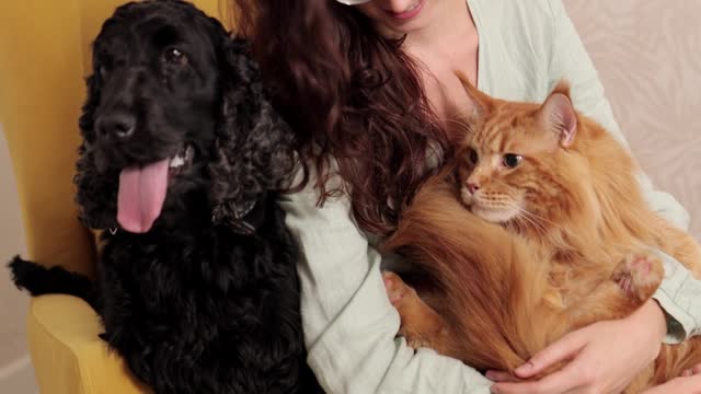 Baby Dogs Cute and Funny og Videos Compilation #furrY for fun Animals