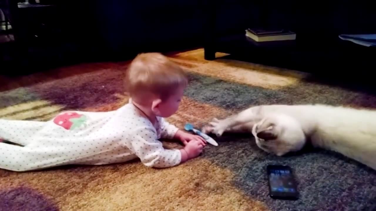 funny act of cat and baby