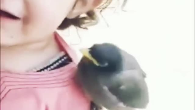 baby girl show her love to bird