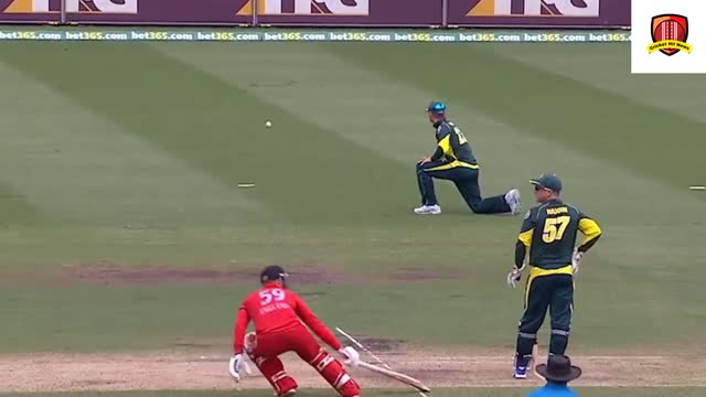 World best run out in cricket history