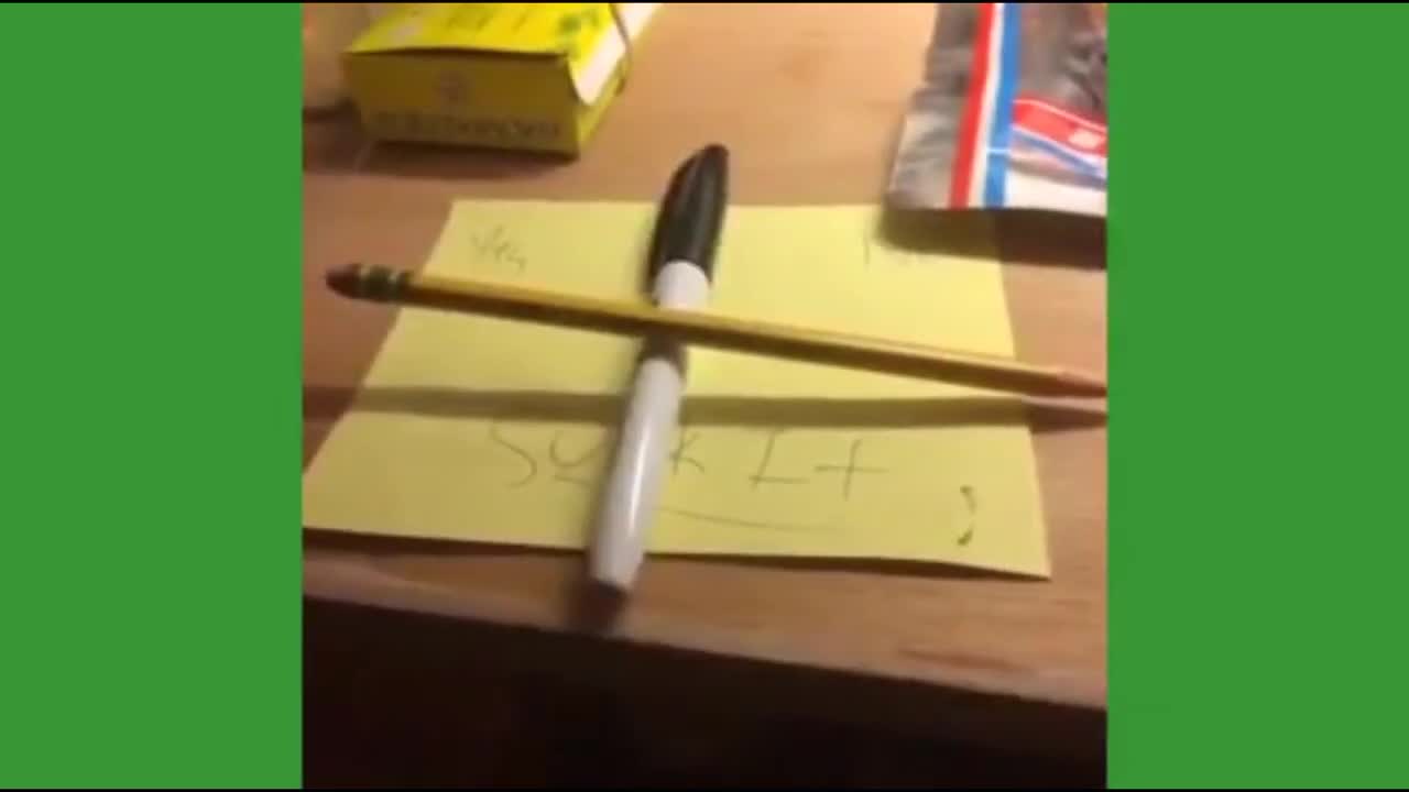 All Plainrock124 Vines Compilation