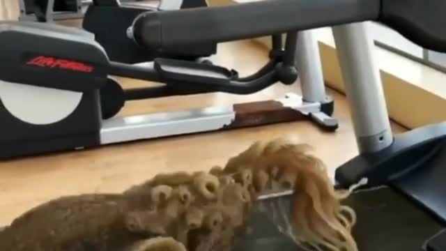 He is doing exercise