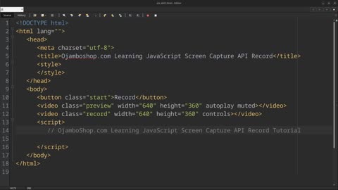 JavaScript Screen Capture API Record