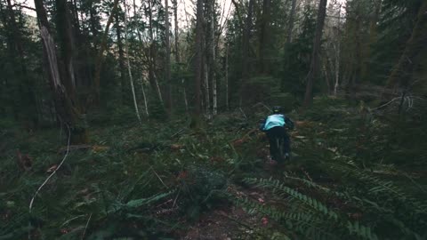 INSANE Downhill Mountain Bike