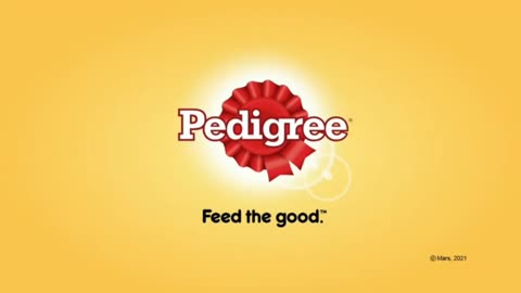 Pedigree Puppy Nutri-Defense TVC Q1-Q2 2021