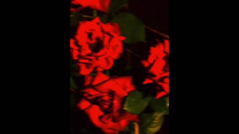 B-Sides (5/23/2024)