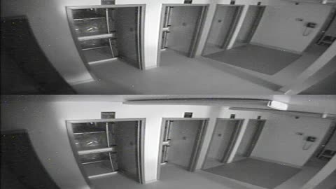 1704CRIB01CribAnalysisArea_2021-01-06_01h40min01s333ms.mp4