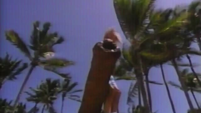 Nygard controls the cops. Who would stop him?