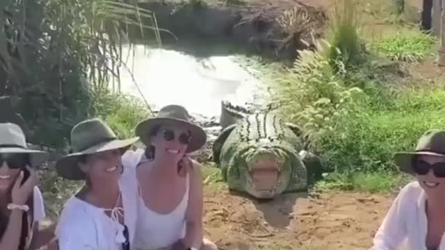 Alligator prank, #funny video #trynottolaugh make me laugh