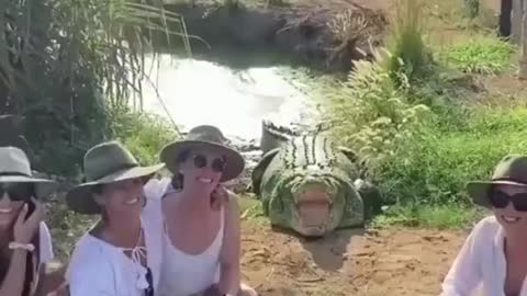 Alligator prank, #funny video #trynottolaugh make me laugh