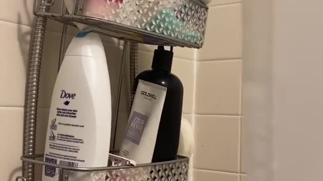 Cat watches guard over owner's shower