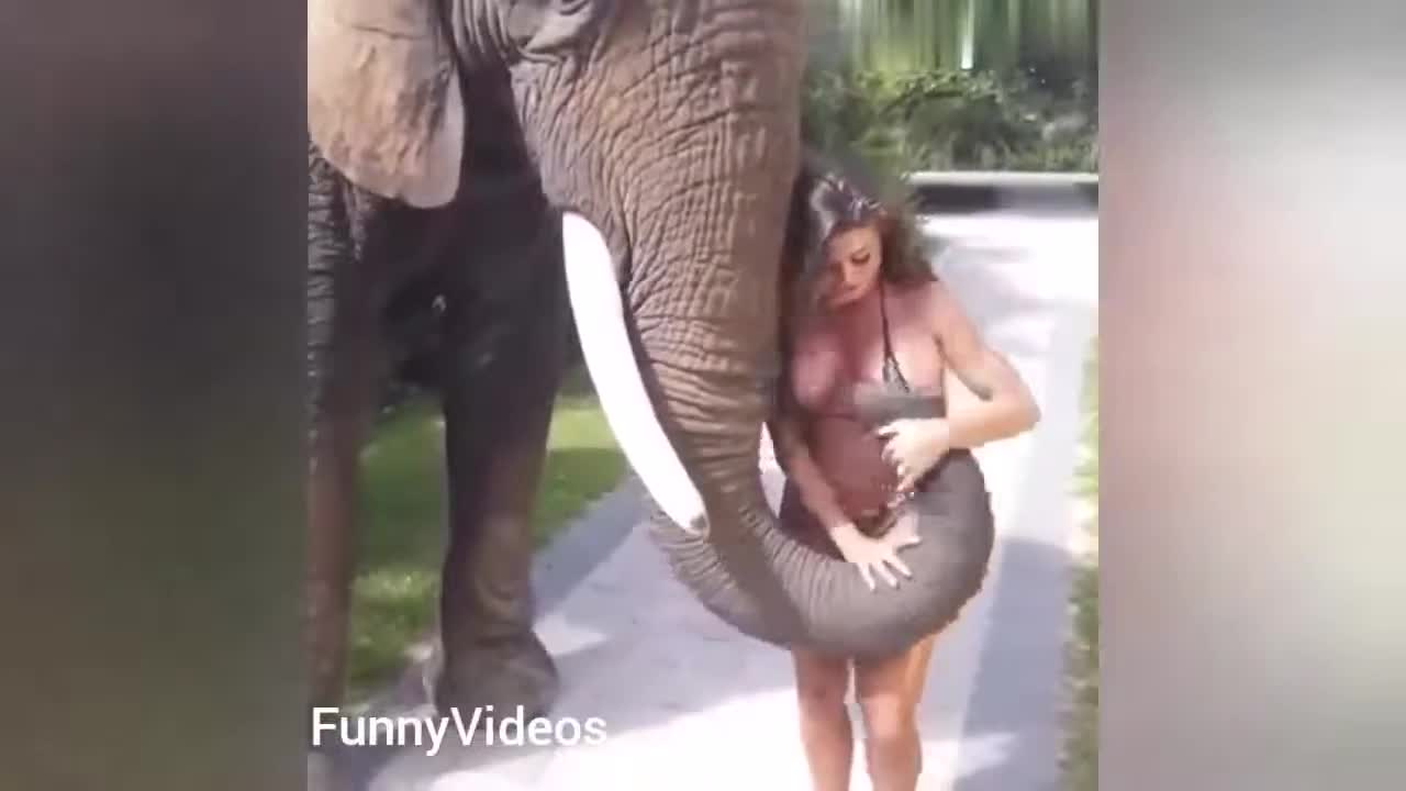 Hot girls vs Animals Funny Animals