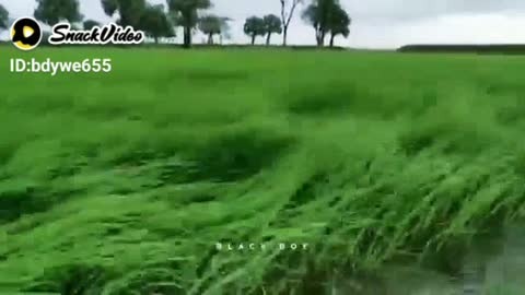Subhan Allah