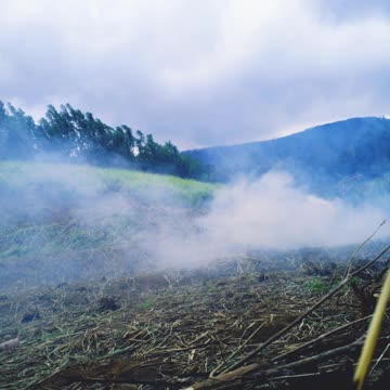 Beauty cloud with mountain