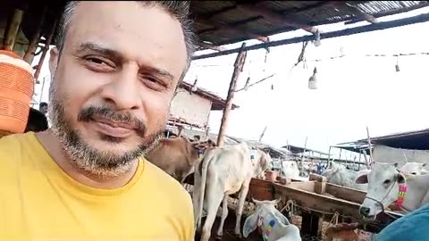 BAKRA EID 2023 FOR COW PURCHASE