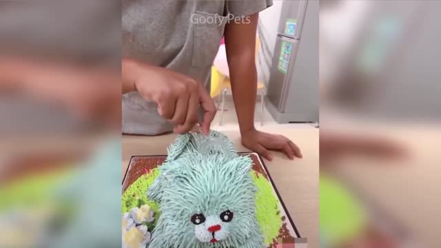 Funny Dog Cake Reactions Compilation - Cat Reactions to Cutting Cake