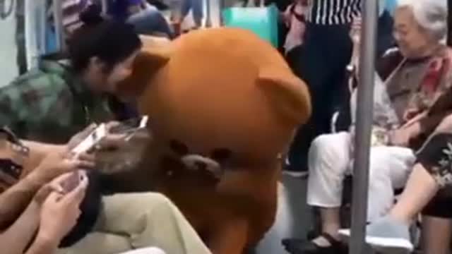 Panda funny videos