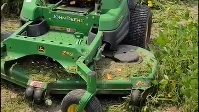 Video 2: US Farmers are told to destroy their crops