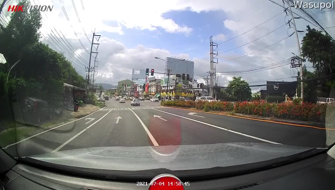 Good Samaritan Stops Traffic to Save Seriously Lucky Kitten