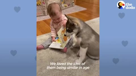 Baby Girl Meets Her New Puppy | The Animal Soulmates