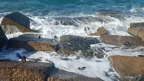 Mediterranean sea in egypt