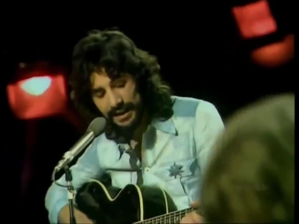 I love my Dog by Cat Stevens