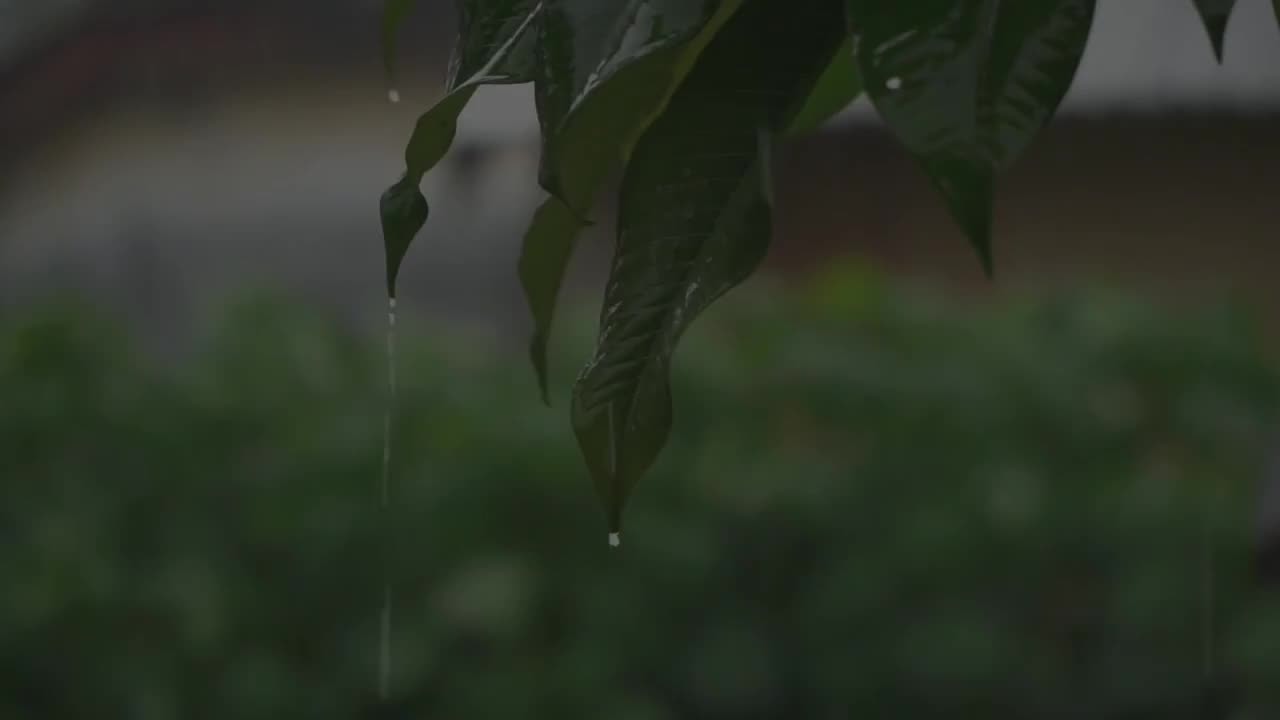 3 Hour Rain Sounds with Ambient Music | 7 | Farewell