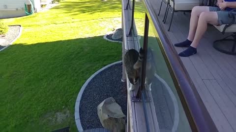 Good boy :)