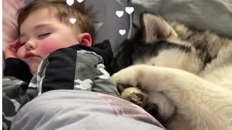 Sleeping with small baby dogs