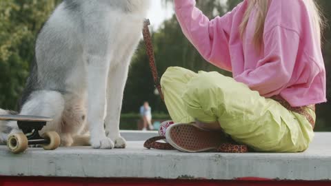 Dog Training | Woman Feeding a Dog