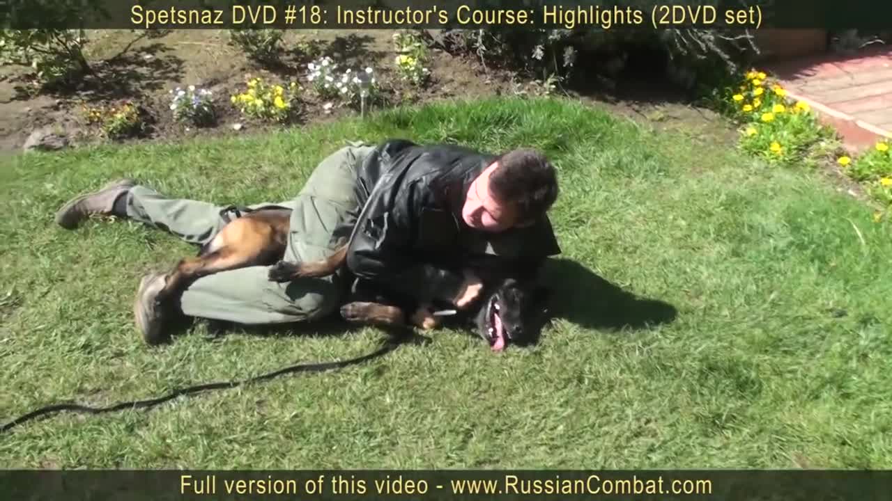 How to defend against a Agressive dog. Self defense against dog attack