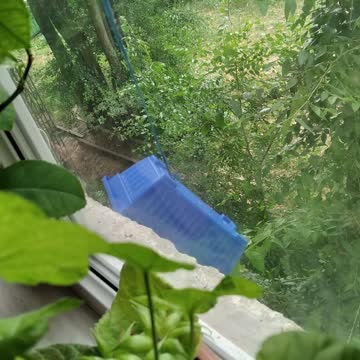 Plastic box epic fall